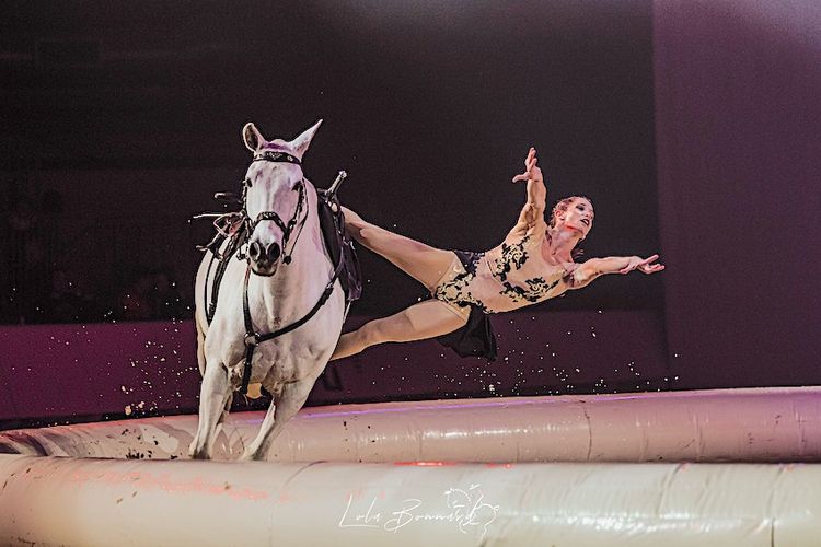 PASSION DU CHEVAL – Le festival Équestria très attendu à Tarbes